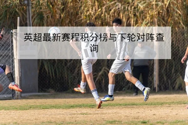 CBA球员伤病恢复进度与复出影响评估